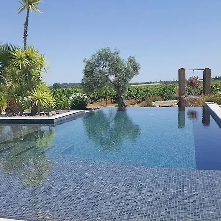 Contemporaine Avec Piscine A Debordement Dans Un Domaine Viticole