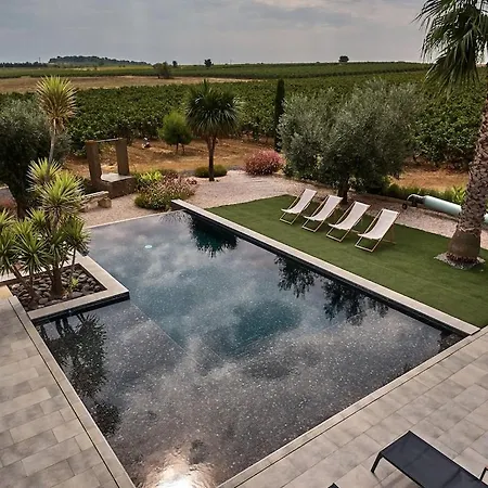 Contemporaine Avec Piscine A Debordement Dans Un Domaine Viticole Villa