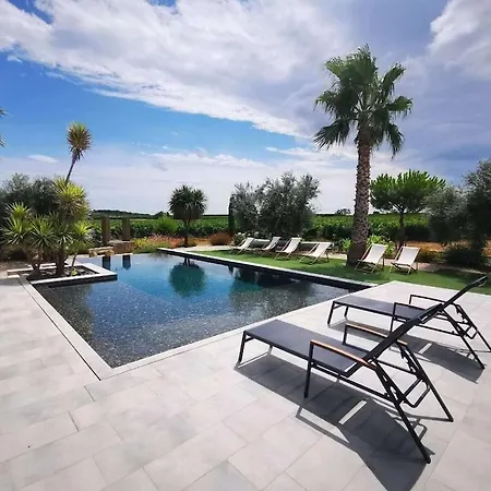 Contemporaine Avec Piscine A Debordement Dans Un Domaine Viticole