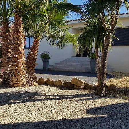 Contemporaine Avec Piscine A Debordement Dans Un Domaine Viticole