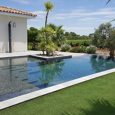 Contemporaine Avec Piscine A Debordement Dans Un Domaine Viticole Servian