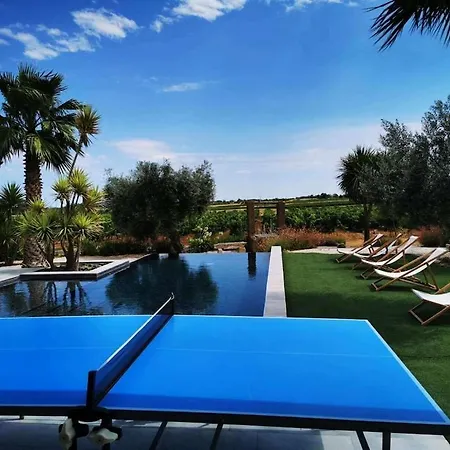 Contemporaine Avec Piscine A Debordement Dans Un Domaine Viticole Servian