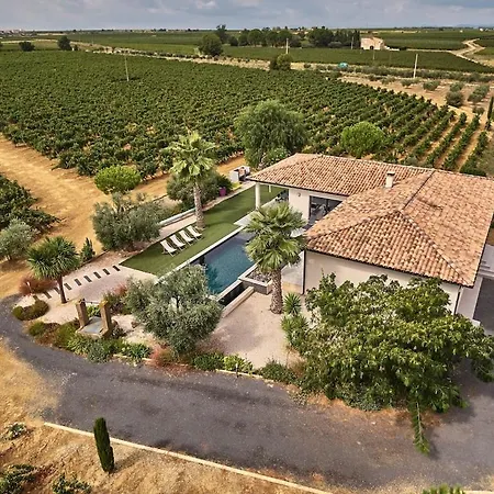 Villa Contemporaine Avec Piscine A Debordement Dans Un Domaine Viticole Servian