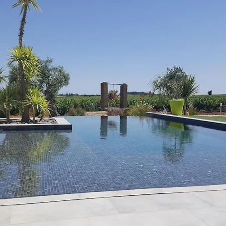 Villa Contemporaine Avec Piscine A Debordement Dans Un Domaine Viticole