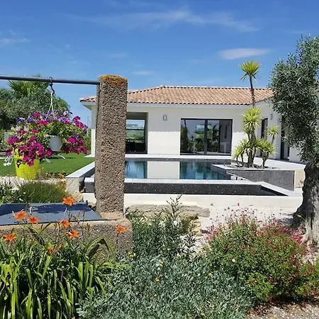Villa Contemporaine Avec Piscine A Debordement Dans Un Domaine Viticole Servian
